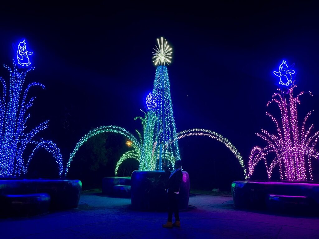 Winter Wonderlights, one of many holiday light displays in Winston-Salem and surrounding towns.